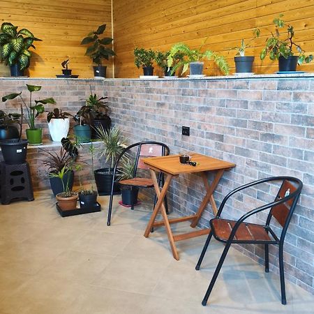 Edward'S Guesthouse Lagodehi Dış mekan fotoğraf